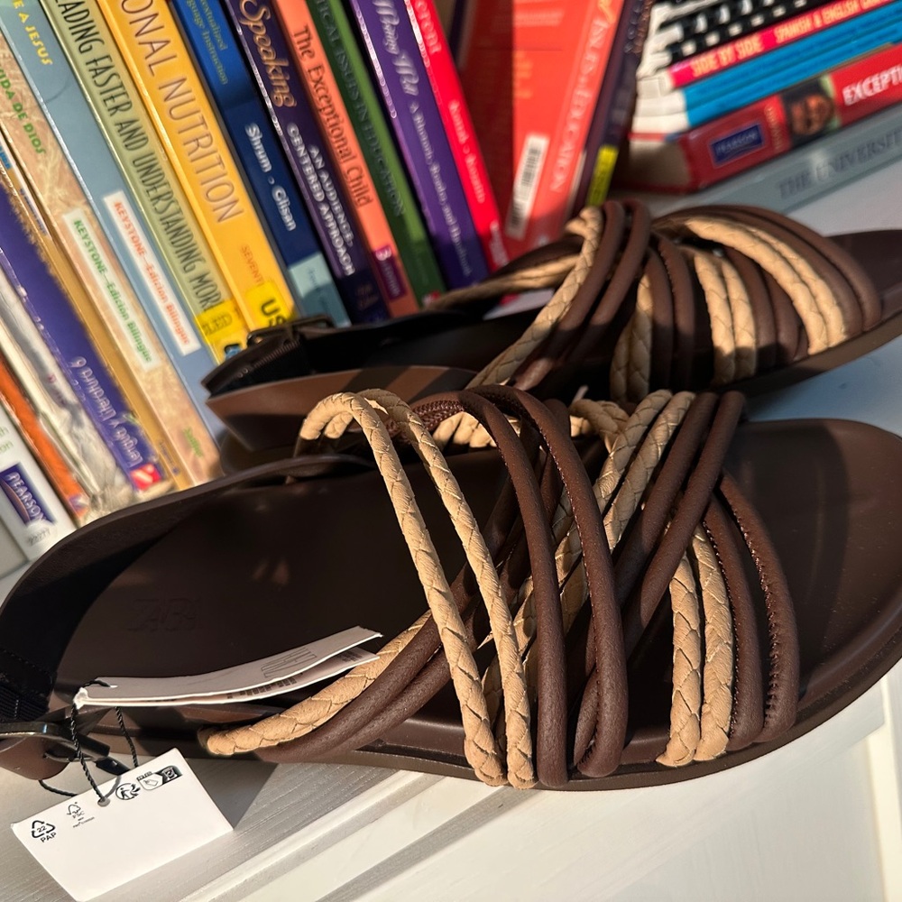 ZARA Women’s Strappy Slide Sandals in Brown and Tan